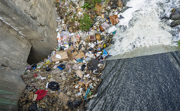 Environmental Crimes (Live Webinar) Event Image